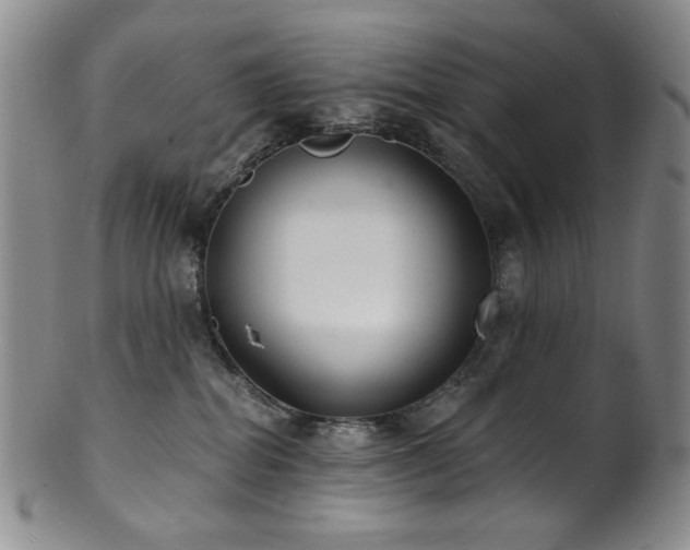 X0000101700282200807101544