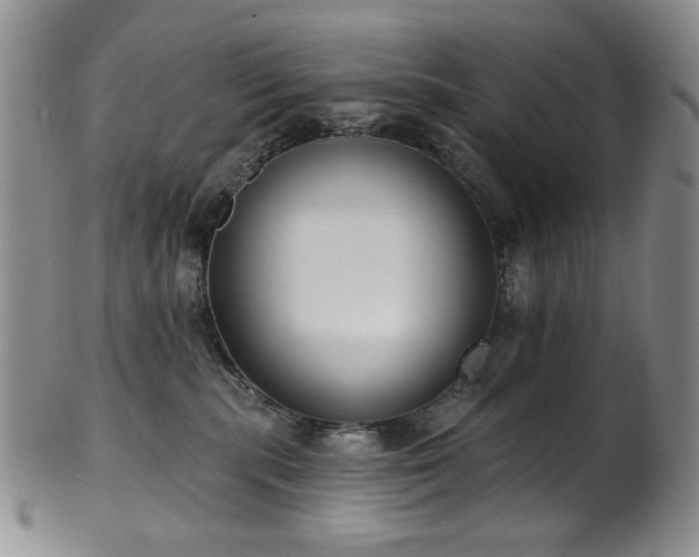 X0000101700283200807101544