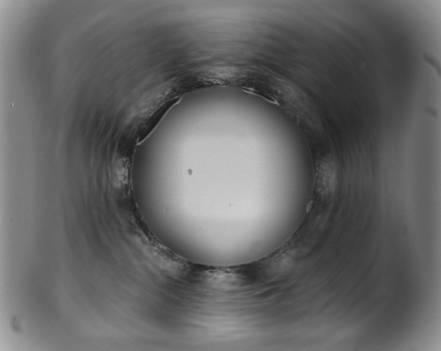 X0000101700284200807101544
