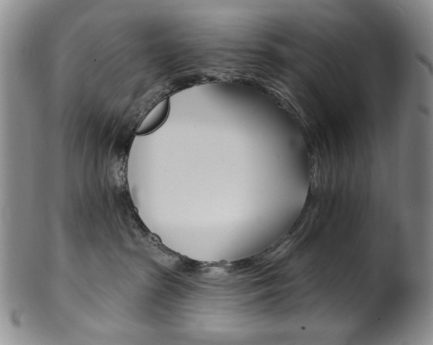 X0000101700285200807101544