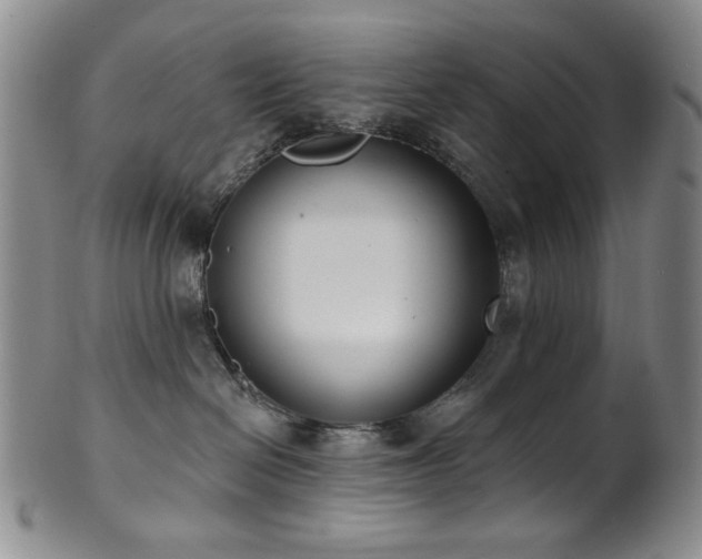 X0000101700286200807101544