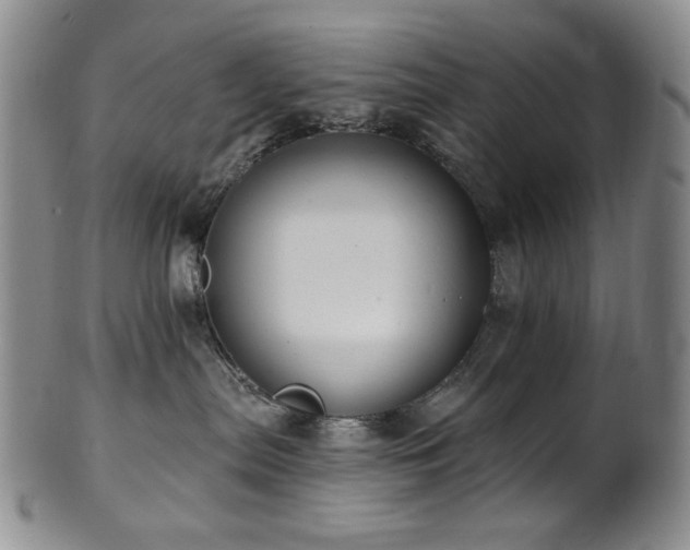 X0000101700287200807101544
