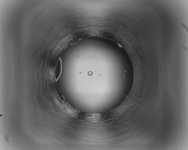 X0000101700288200807101544