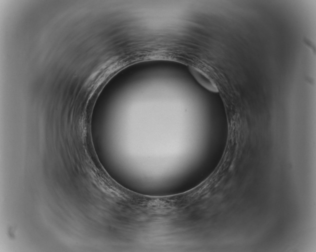 X0000101700290200807101543