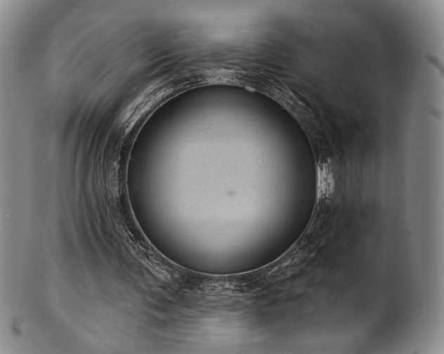 X0000101700291200807101543