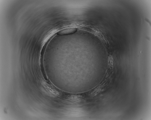 X0000101700292200807101543