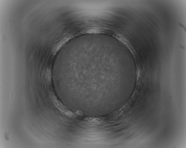 X0000101700297200807101543
