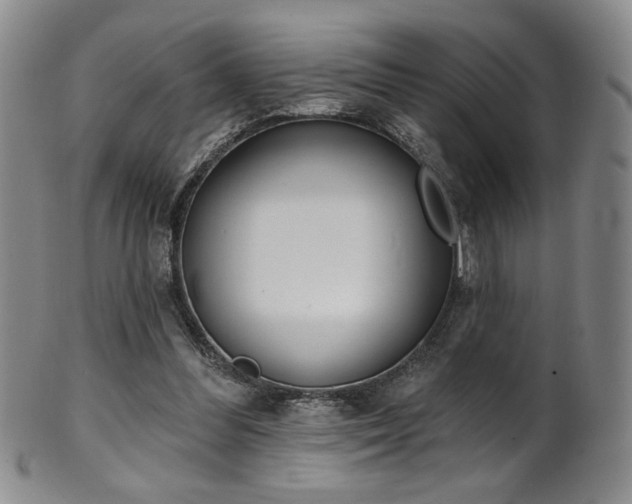 X0000101700300200807101543