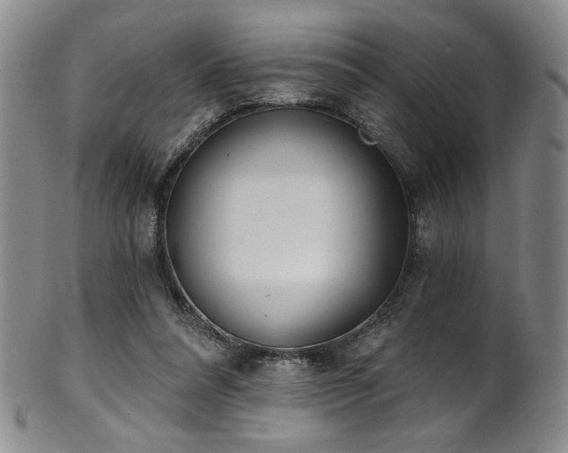 X0000101700304200807101543
