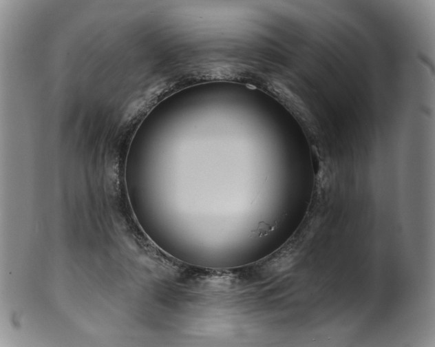X0000101700306200807101543