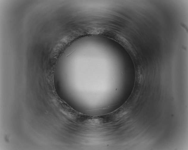 X0000101700307200807101543
