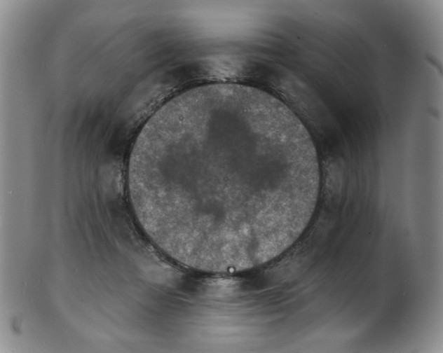 X0000101700313200807101543