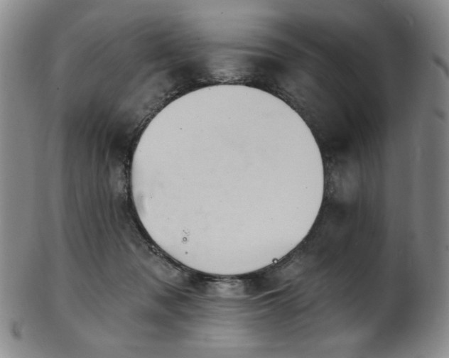 X0000101700317200807101543