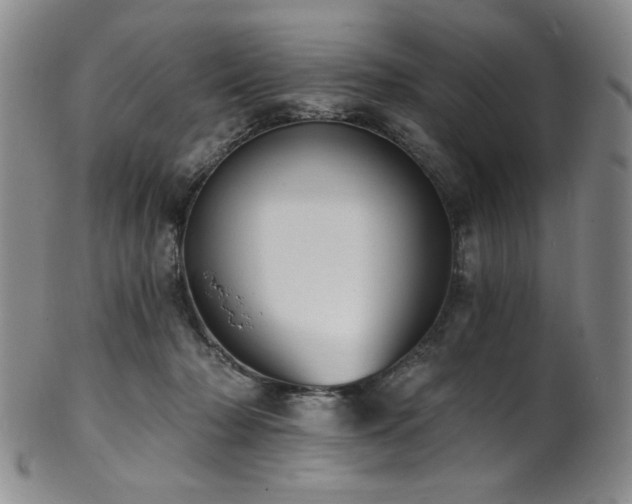 X0000101700318200807101543