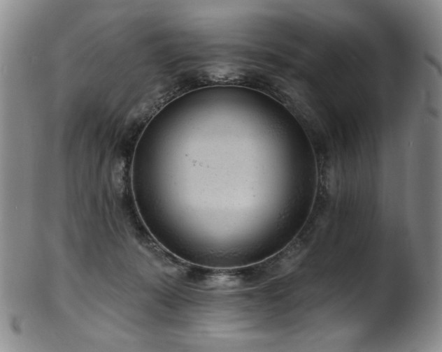 X0000101700319200807101543