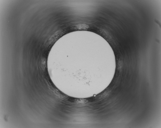 X0000101700321200807101543