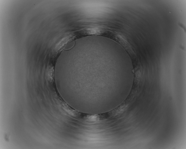 X0000101700325200807101543
