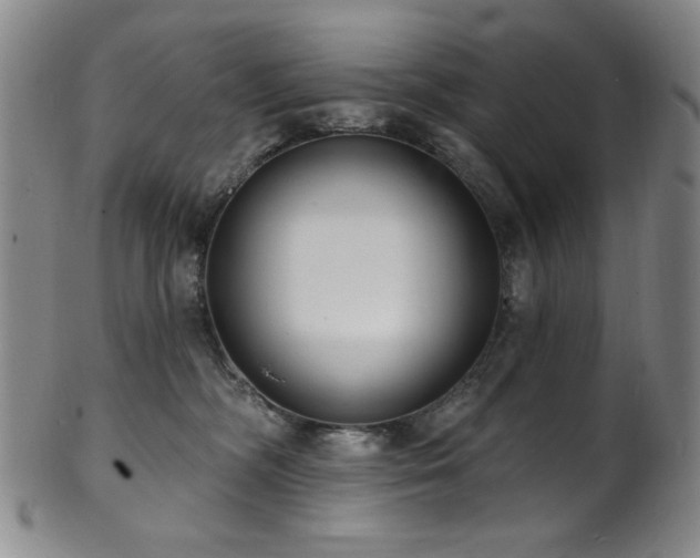 X0000101700326200807101543
