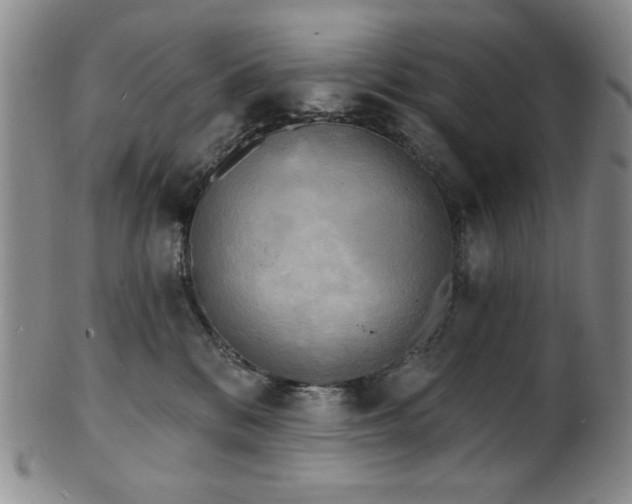 X0000101700328200807101543