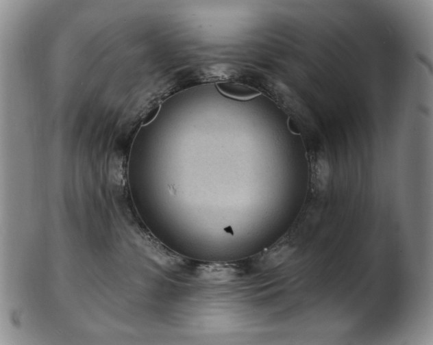 X0000101700331200807101543
