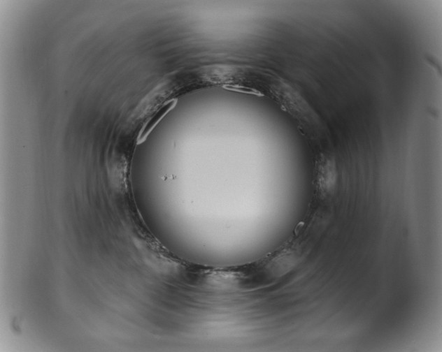 X0000101700332200807101542