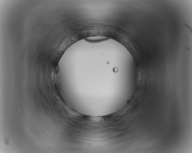 X0000101700333200807101542