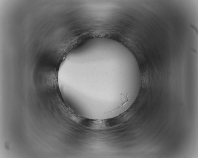 X0000101700335200807101542