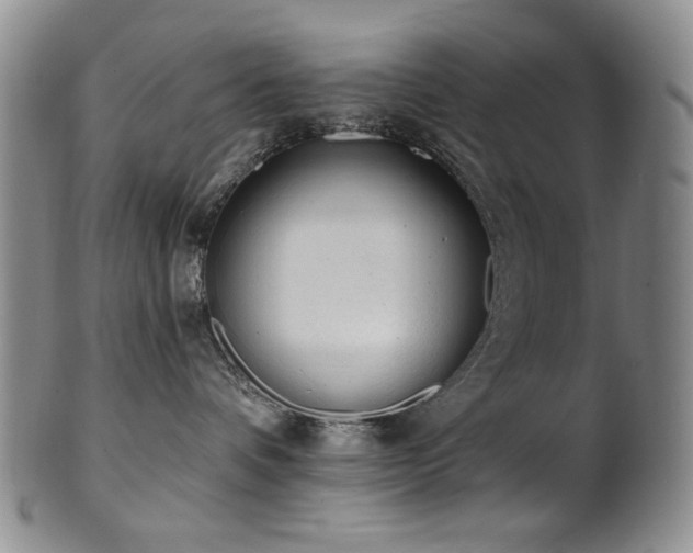 X0000101700336200807101542