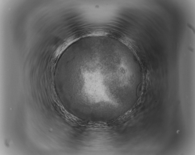 X0000101700337200807101542