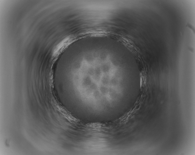 X0000101700339200807101542