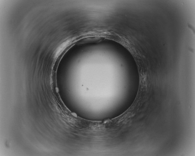 X0000101700340200807101542