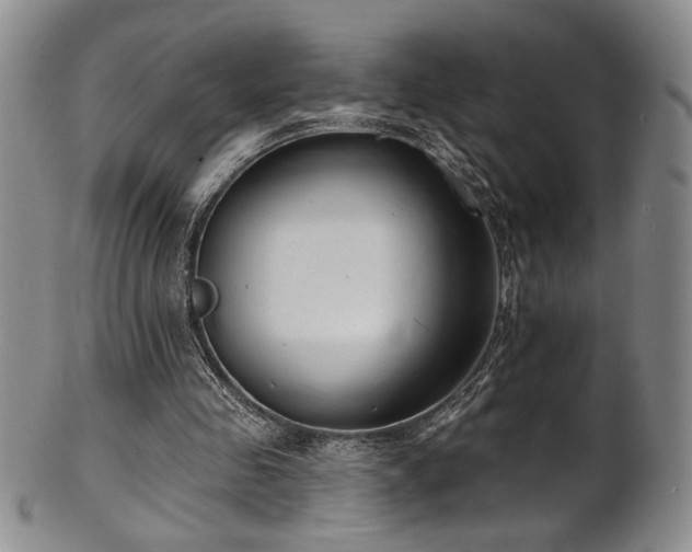 X0000101700341200807101542