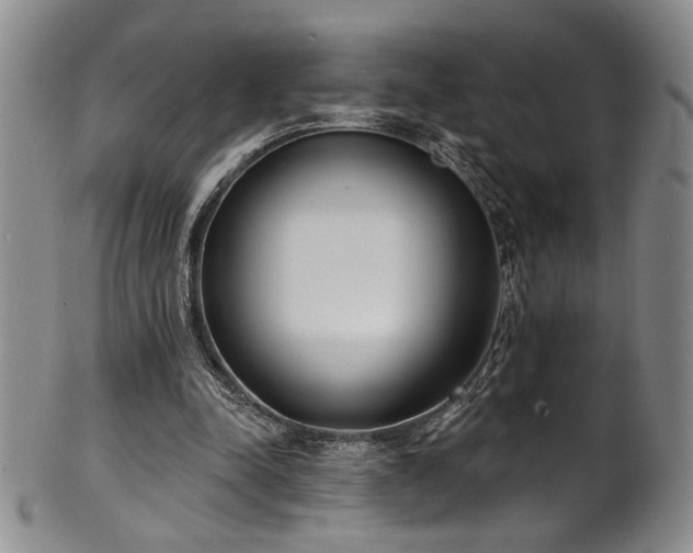 X0000101700342200807101542