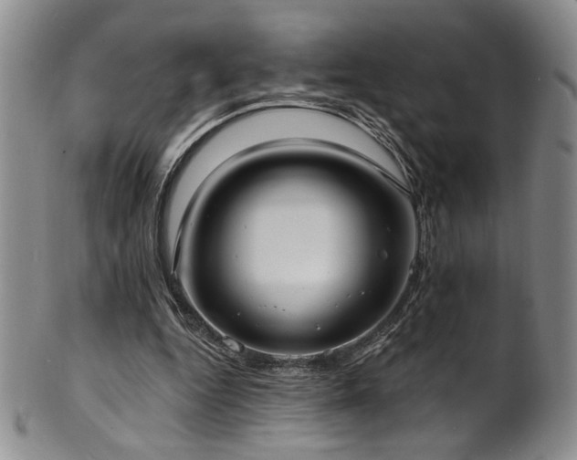 X0000101700344200807101542