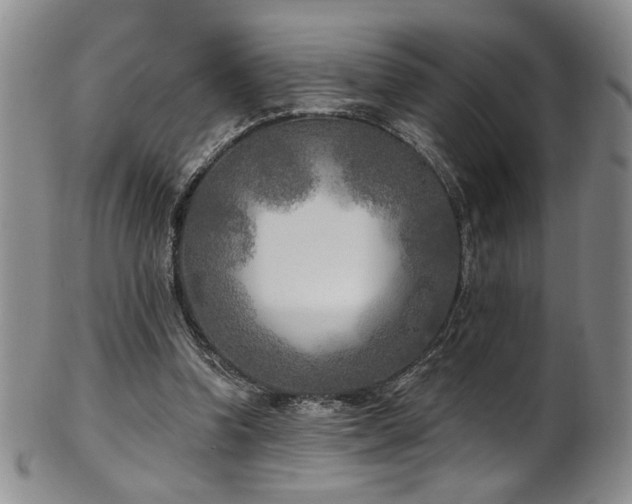 X0000101700346200807101542