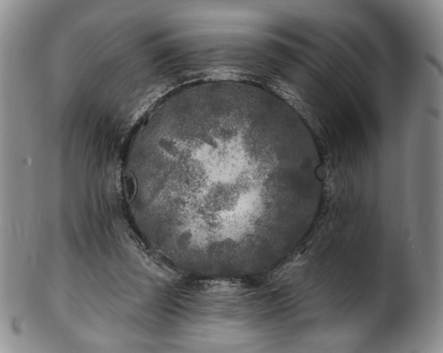 X0000101700347200807101542