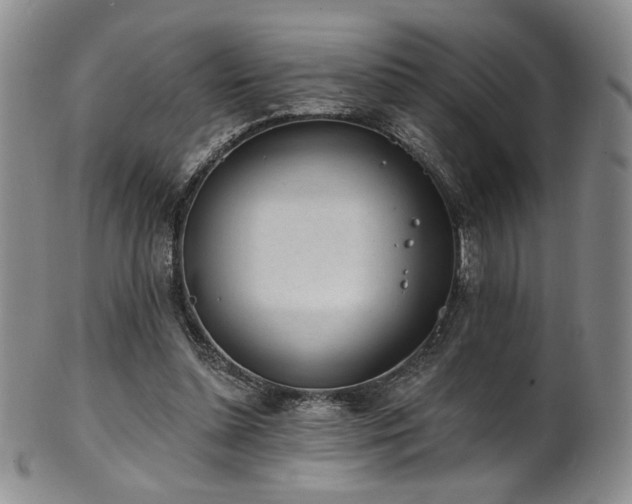X0000101700348200807101542
