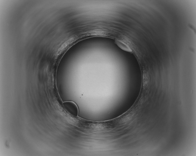 X0000101700349200807101542