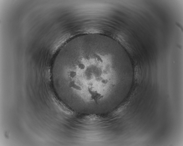 X0000101700351200807101542