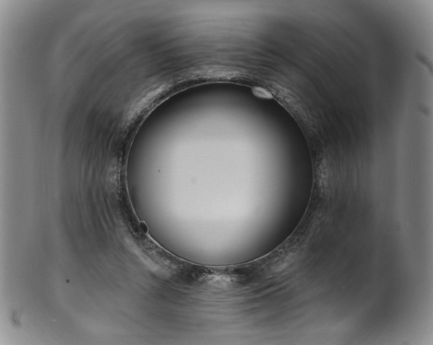 X0000101700352200807101542