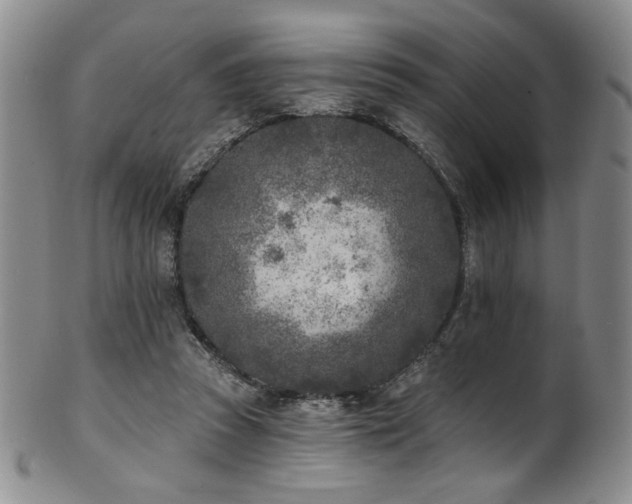 X0000101700353200807101542