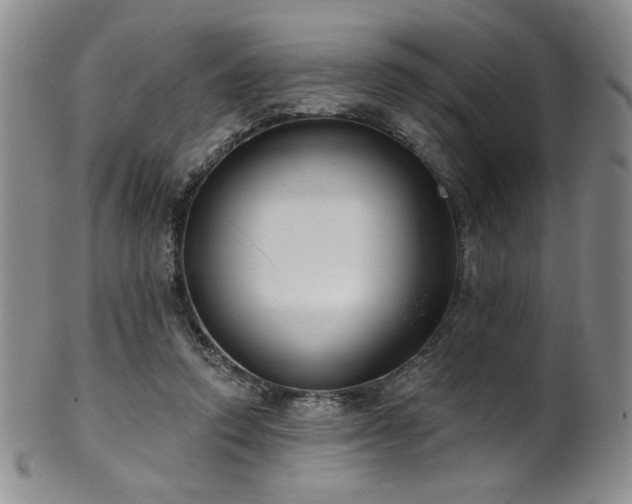 X0000101700354200807101542