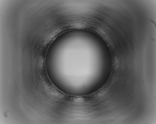 X0000101700355200807101542