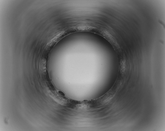 X0000101700356200807101542