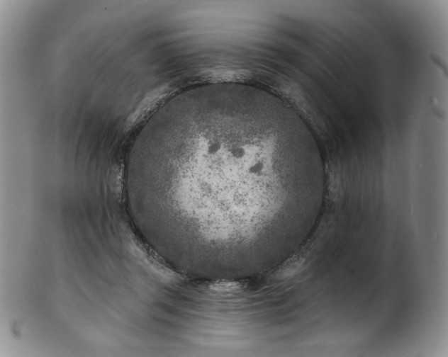 X0000101700357200807101542