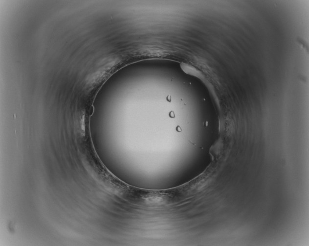 X0000101700358200807101542