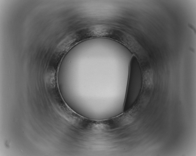 X0000101700360200807101542