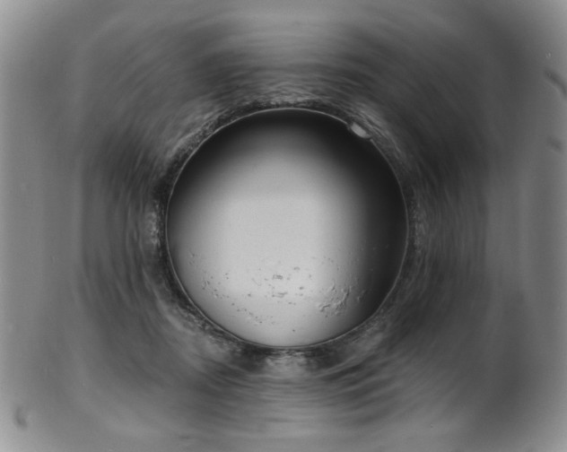 X0000101700362200807101542
