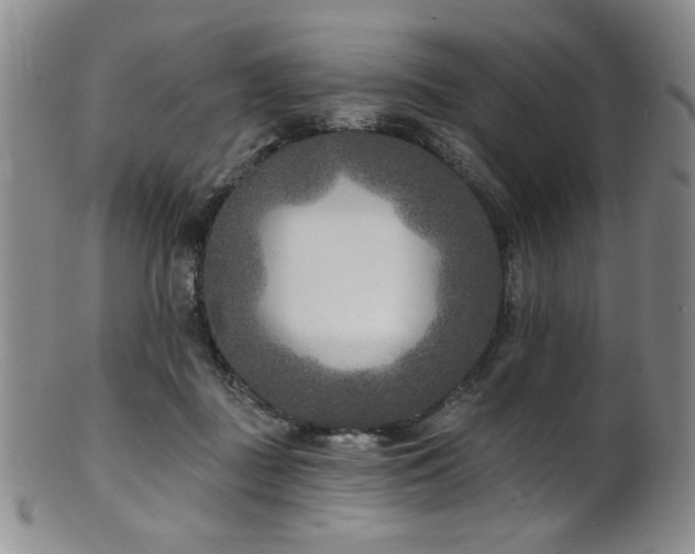 X0000101700363200807101542