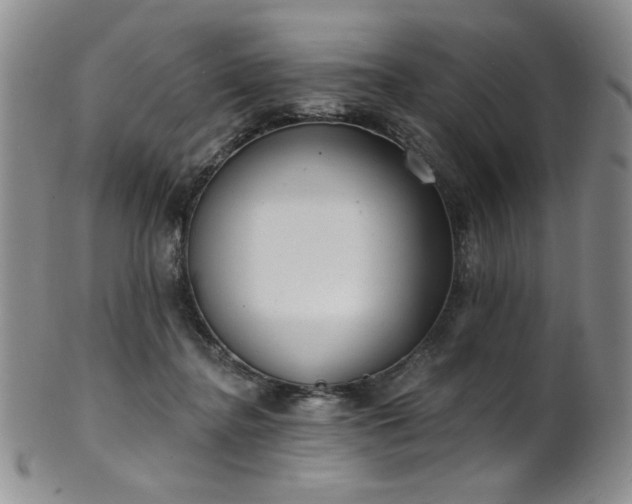X0000101700364200807101542